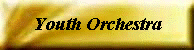 Youth Orchestra